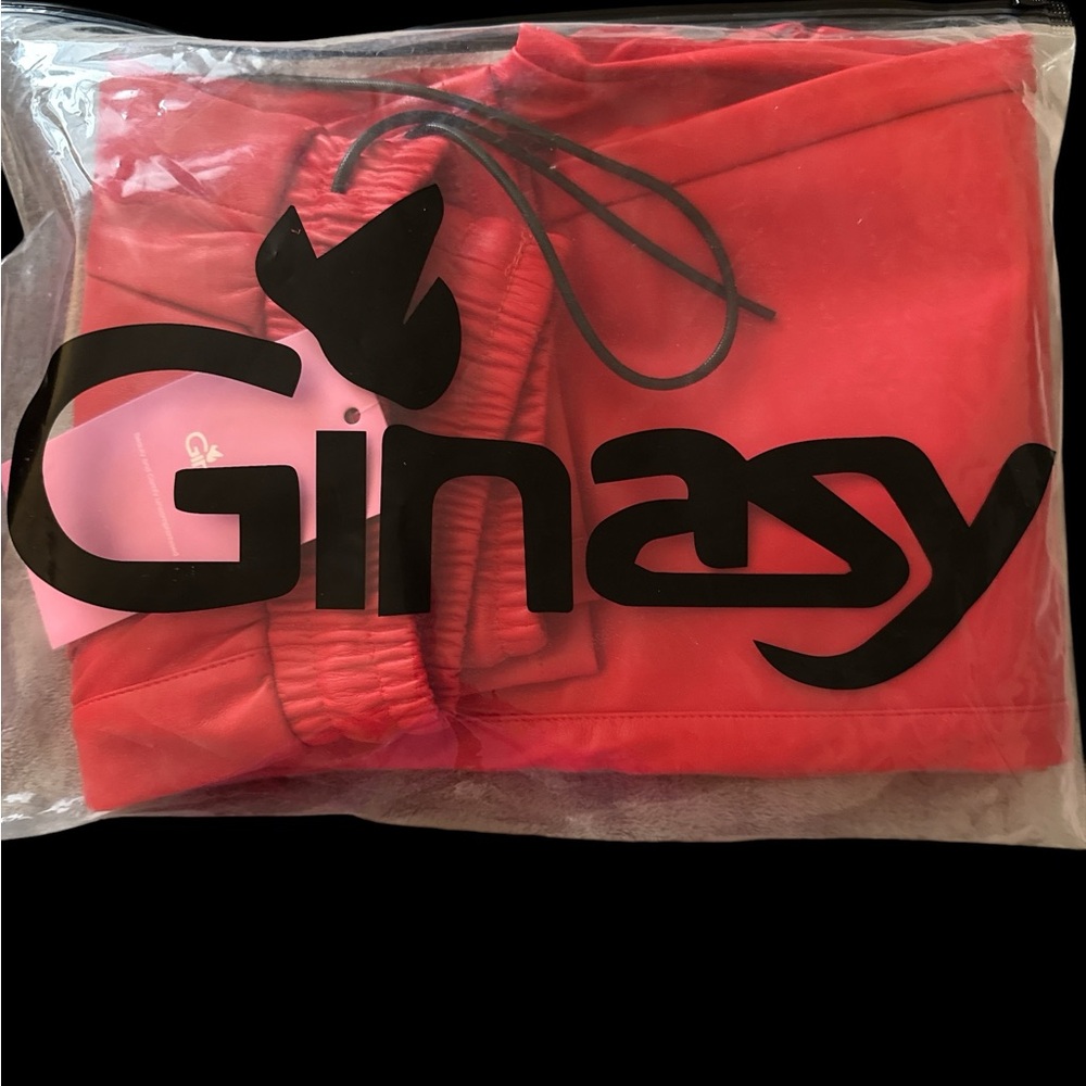 Ginasy Faux Leather Pants NWT size Small